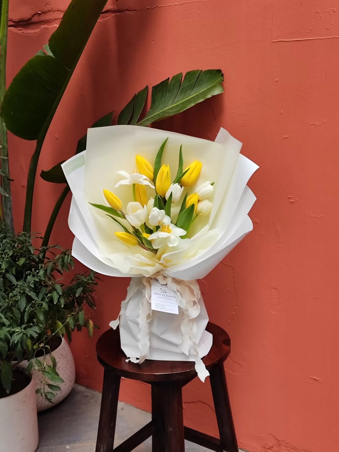 Bó tin nhắn – Tulip Trắng mix vàng