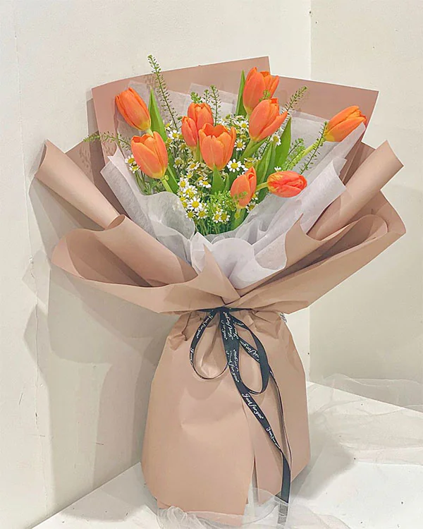 Thanh Xuân Rực Rỡ