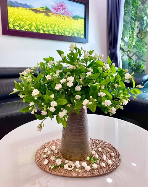 Giải oan cho những loài hoa bị hiểu lầm: ý nghĩa thực sự đằng sau những quan niệm cấm kỵ về hoa