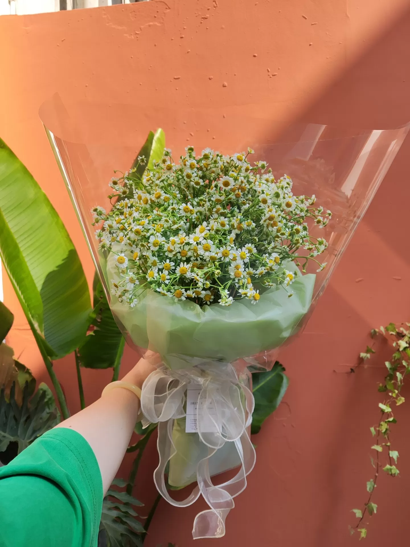 Bó hoa cúc Tana only