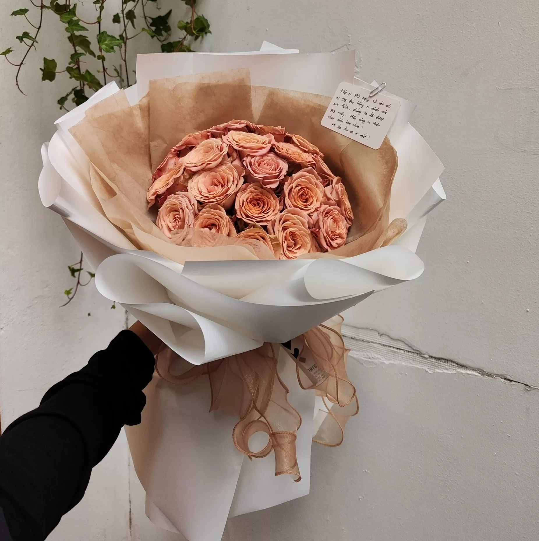 Cappuccino Rose – Bó tròn